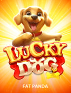 วิธีเล่นสล็อต ฟ้า โร แบบมือโปร เล่นยังไงให้ปัง!